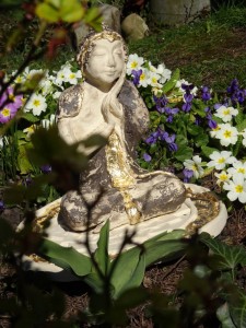 WanderbuddhaDiepoldsau